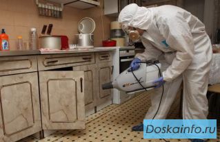 Дезинсекция и дератизация в Москве и МО