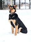 Уменьшенная картинка