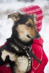 Уменьшенная картинка
