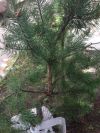 Уменьшенная картинка