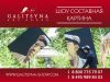 Шоу танцующий художник-составная картина в Ростове