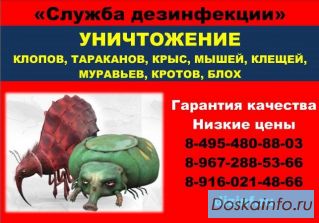 Обработка Уничтожение клопов и тараканов, клещей.
