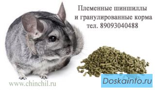 Нужны партнёры по России