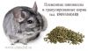 Нужны партнёры по России