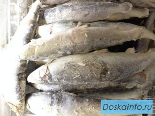 Предлагаю Якутскую рыбу свежемороженую