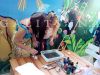 Водная анимация в Ростове