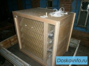Инкубаторы от 100 до 3000 яиц