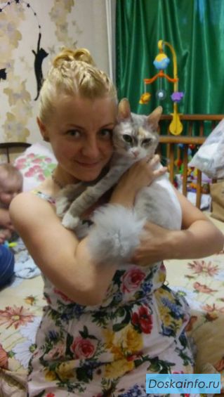 Кошечка породы лаперм в дар!