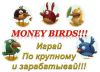 Зарабатывайте деньги, играя в Money Birds