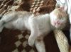 Уменьшенная картинка