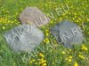 Уменьшенная картинка