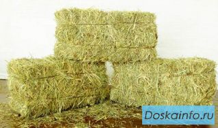 Продается сено от         производителя