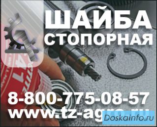 Шайба многолапчатая купить
