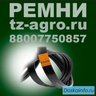 Поликлиновый ремень фото