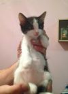 Уменьшенная картинка