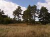Продается земельный участок 40 соток