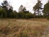 Уменьшенная картинка