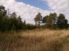 Уменьшенная картинка