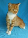 Уменьшенная картинка