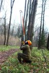 Спилим аварийные деревья,расчистим и благоустроим участок