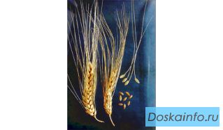 Продажа пшеницы и ячменя, фуража.