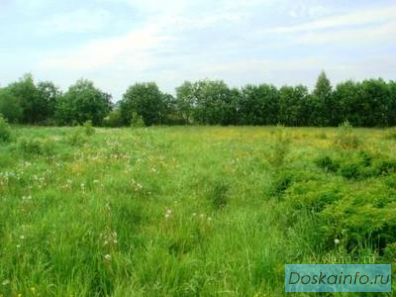 Продам в Кимрском районе 25 соток под ИЖС. Лес, р. Волга.