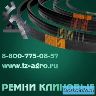 Ремень клиновый 13