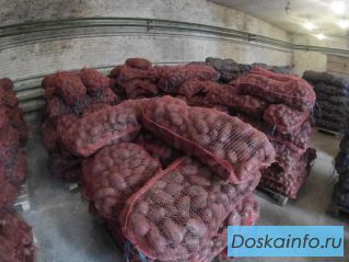 Картофель оптом со склада в перми