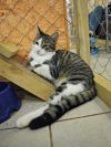 Уменьшенная картинка
