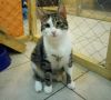 Уменьшенная картинка