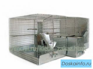 Клетки для шиншилл