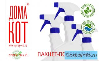 Спрей от запаха кошки. Как избавиться от запаха в квартире?