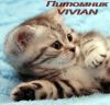 Уменьшенная картинка