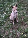 Уменьшенная картинка