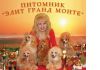 Уменьшенная картинка