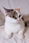 Уменьшенная картинка