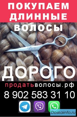 Дорого скупаем волосы в Мурманске