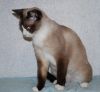 Уменьшенная картинка