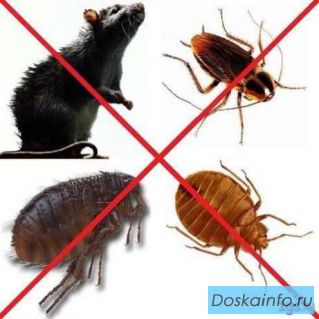 Уничтожение насекомых и грызунов