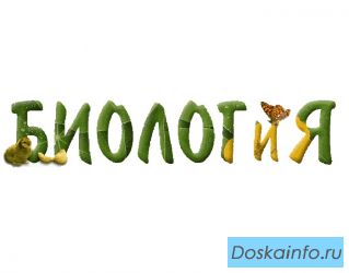 Репетитор по биологии в Тюмени