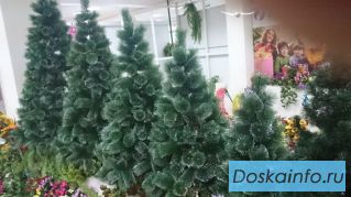Живые искусственные Ёлки с подарком!