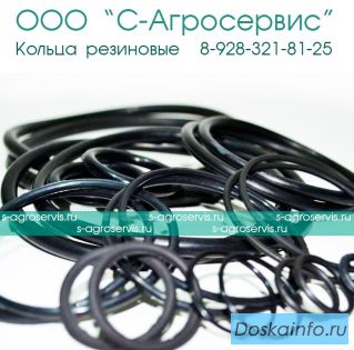 Уплотнительное кольцо дастер
