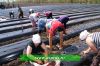 Уменьшенная картинка