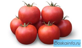 Семена томата KS 835 F1 фирмы Китано