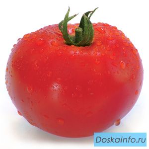 Семена томата ХИТОМАКС F1 фирмы Китано