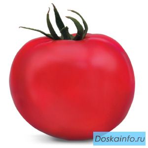 Семена томата ЯДВИГА F1 фирмы Китано