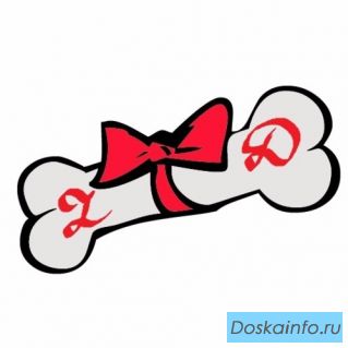 Поставка одежды для собак. Сотрудничество: дилеры