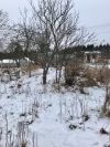 Уменьшенная картинка