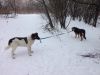 Уменьшенная картинка