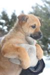 Уменьшенная картинка